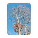 Search for bare tree magnets Trees
