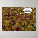 Search for carnivorous posters Nature