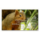 Search for portrait business cards Nature