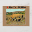 Search for reed postcards Animal