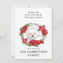 Search for bichon christmas cards Frise