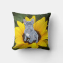 Search for french bulldog puppy cushions Cute