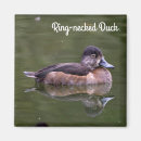 Search for neck magnets Wildlife