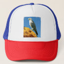 Search for falcons hats Wildlife