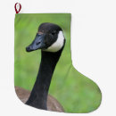 Search for photography christmas stockings Cute