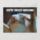 Search for funny turtle postcards Awesome