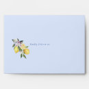 Search for lemon envelopes Simple