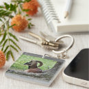 Search for ram photography Nature