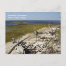 Search for dixie postcards Florida
