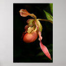 Search for slipper posters Floral