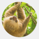Search for getty stickers Nature