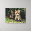 Search for siblings canvas prints Nature