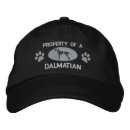 Search for property hats Dog
