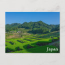 Search for asiatic postcards Outdoors