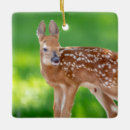 Search for fawn deer christmas tree decorations Wildlife