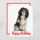 Search for cavalier king charles spaniel mom cards Puppy