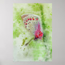 Search for beautiful butterflies posters Wings