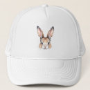 Search for neutral hats Modern