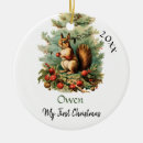 Search for squirrel christmas tree decorations Red