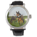 Search for horses watches Horse lover