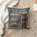 Search for cow cushions Highland cattle
