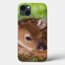 Search for deer ipad cases white tailed deer