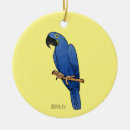 Search for macaw christmas tree decorations Bird