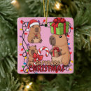Search for zoo christmas tree decorations Animals