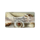 Search for tropical fish return address labels Seashells