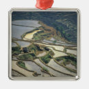 Search for chinese christmas tree decorations Rice