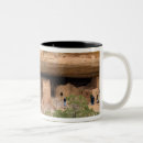 Search for cliff dwellings mugs Mesa verde