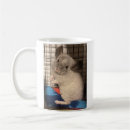 Search for chinchilla mugs Cute