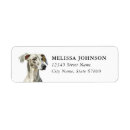 Search for greyhounds return address labels Italian greyhound