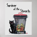 Search for strays Feline