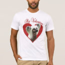 Search for chinese crested powderpuff Hairless