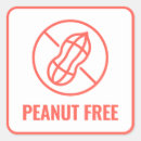 Search for nut allergy stickers Peanut free