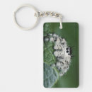 Search for large image key rings Medium format