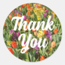 Search for orange tulip stickers Yellow