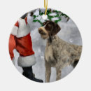 Search for pointer dog christmas tree decorations Xmas