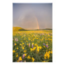 Search for spectacular posters Inspirational
