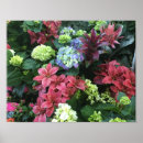 Search for springtime posters Orange