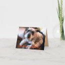 Search for miniature schnauzer birthday cards Cute