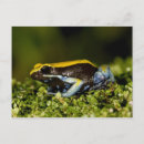Search for ear postcards Amphibian