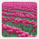 Search for spring flower stickers Colourful