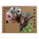 Search for primates calendars Wildlife