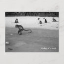 Search for koh phi phi postcards Ocean