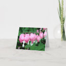 Search for dicentra Garden
