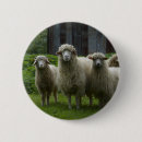 Search for sheeps badges Nature