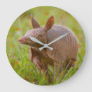 Search for wild one clocks Wildlife