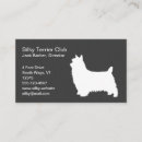 Search for silky Silky terrier